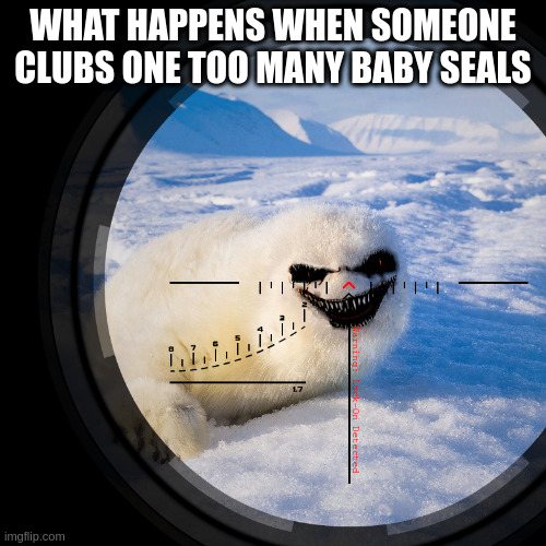to the baby seal club Imgflip