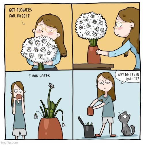 Evil flowers Imgflip