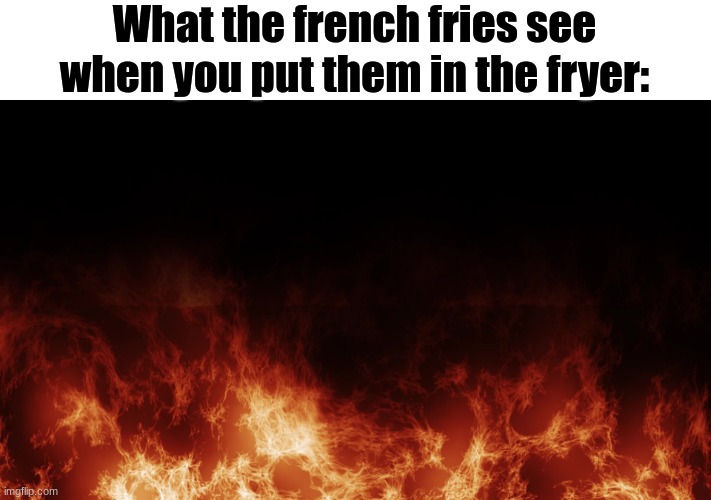 fry Imgflip