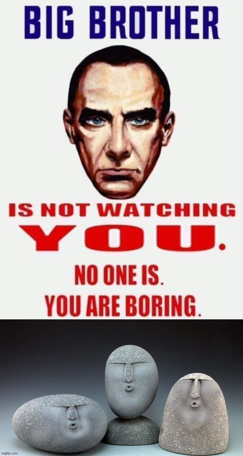 Image tagged in memes,funny,roasted Imgflip