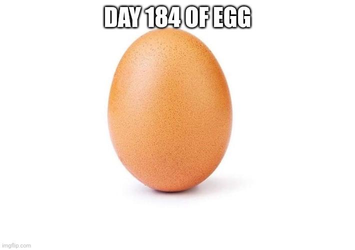 EGG Imgflip