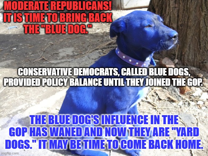 Twenty, or more, Blue Dogs could get a sweet deal and save the House