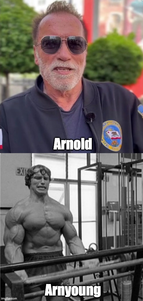 Arnold Imgflip