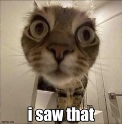 he saw Imgflip