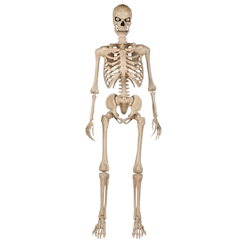 Home Accents Holiday 5 ft. Ultra Poseable Skeleton with Glowing Blank