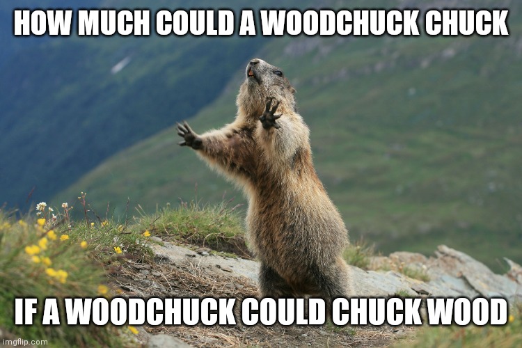 woodchuck Memes & GIFs Imgflip