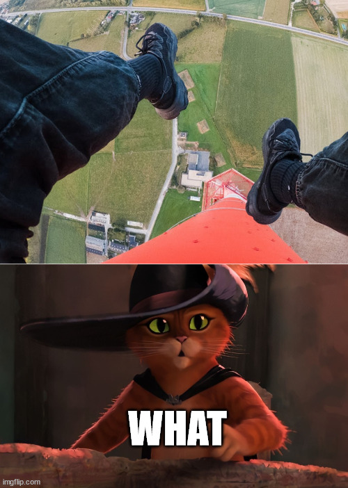 Puss in Boots meme Imgflip