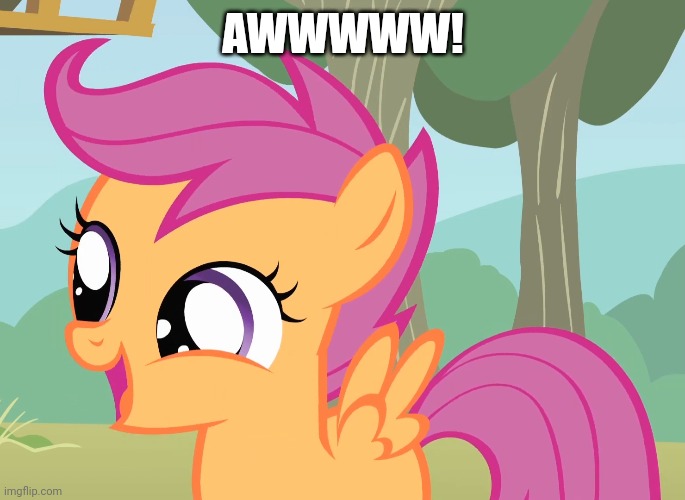 Dog food time Imgflip