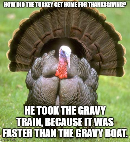 Turkey Travel Imgflip