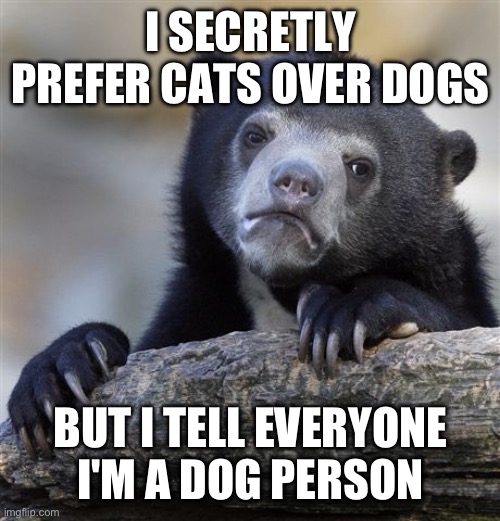 Confession Bear Meme Imgflip