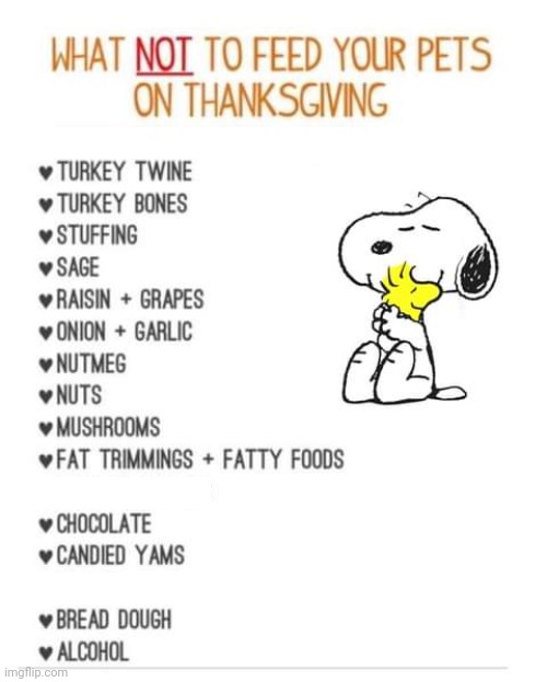 Food to avoid giving dogs at Thanksgiving Imgflip