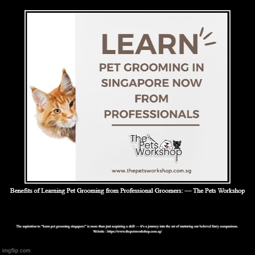 Benefits of Learning Pet Grooming from Professional Groomers — The