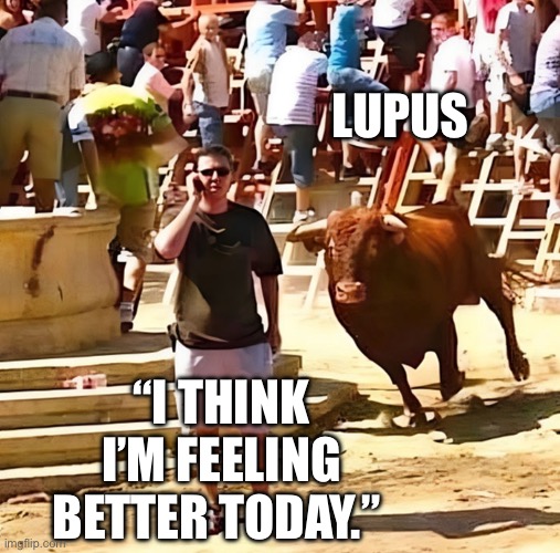 You Mess with the Lupus… Imgflip