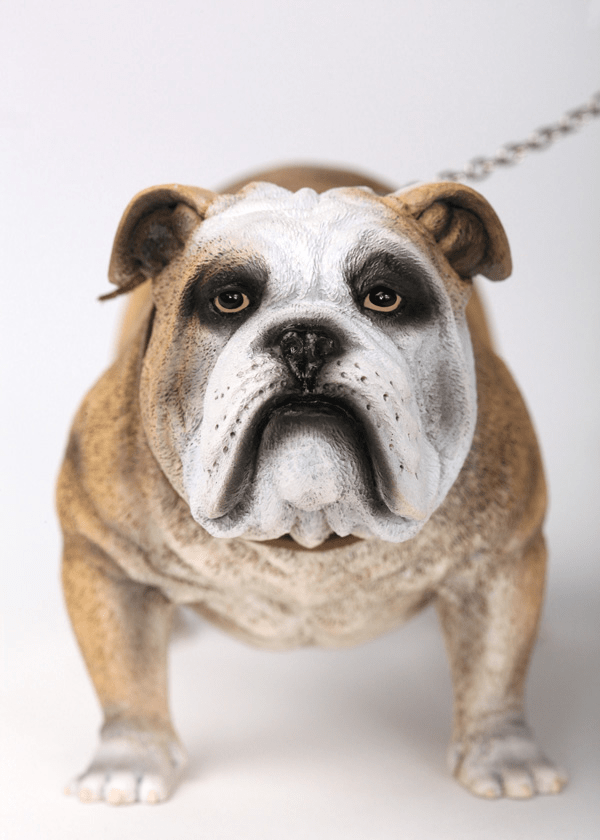 Goofy Ahh Dog Jumpscare Blank Template Imgflip