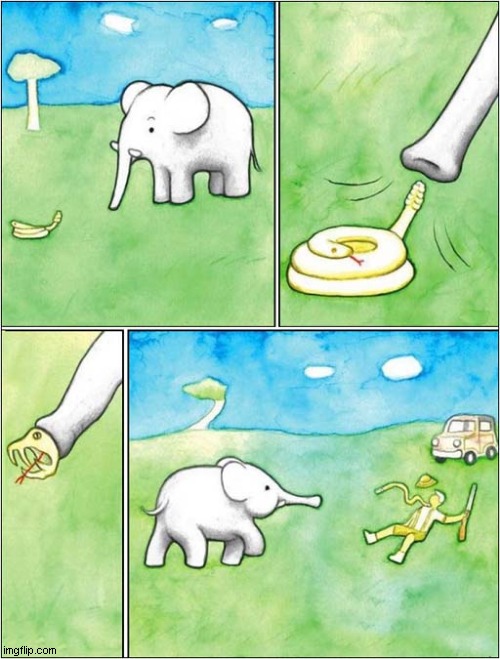 Be Afraid Of Elephants They Can Kill You ! Imgflip