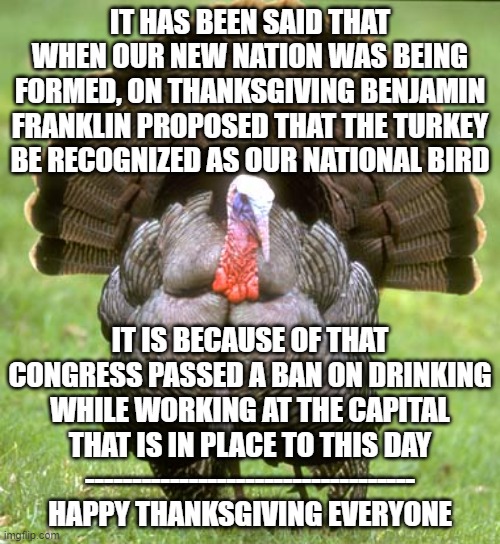 We Could Have Been Turkeys Imgflip