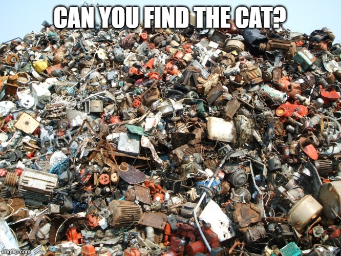 spot the cat in the rubbish tip Imgflip