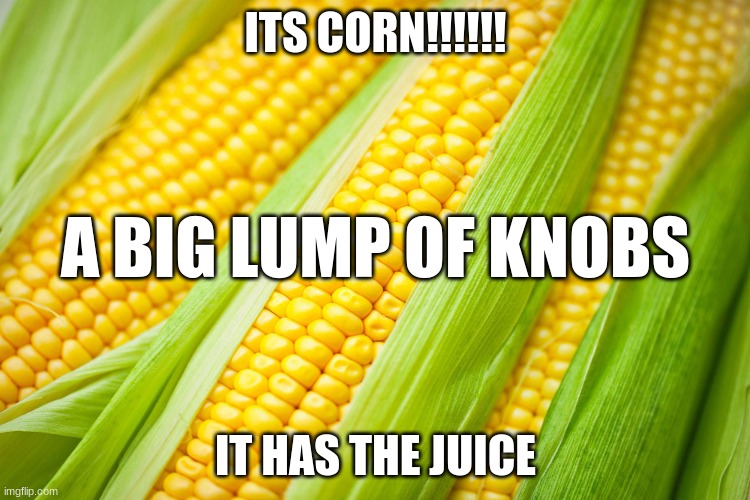Corn Imgflip