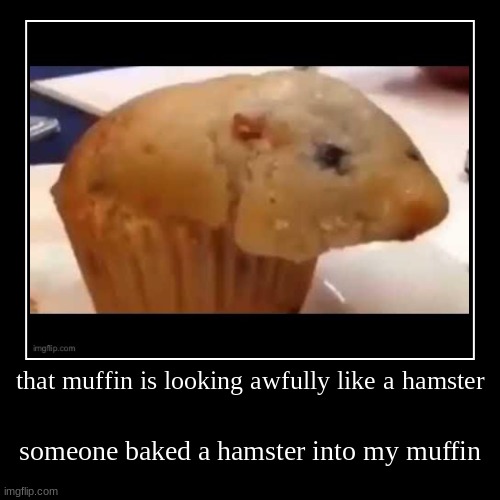 that muffin is looking awfully like a hamster Imgflip