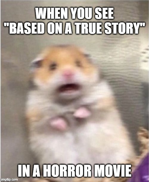 Scared Hamster Memes Imgflip