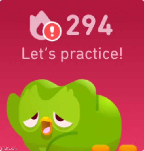 Duolingo needs help Imgflip