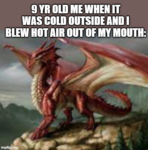 dragon Memes Imgflip