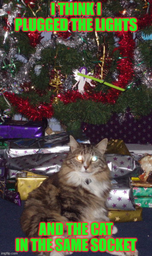 Plugged in lights and cat Imgflip