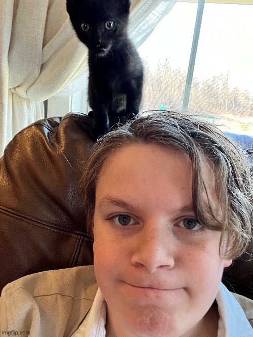 Me and my cat Imgflip