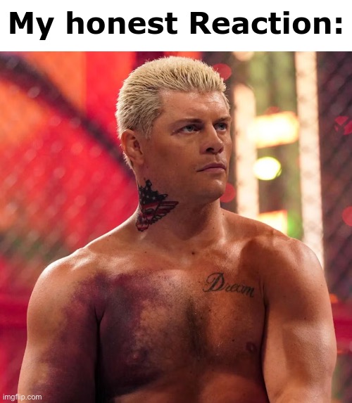 Cody Rhodes "my honest reaction" Imgflip