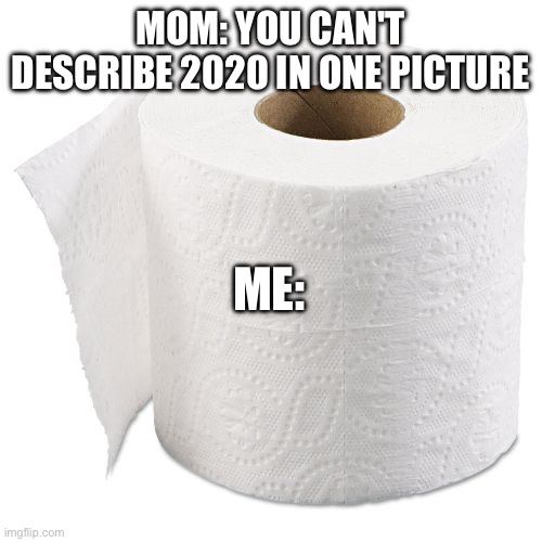Image tagged in toilet paper Imgflip