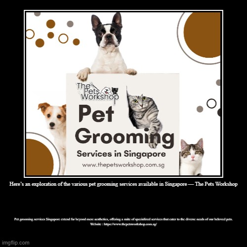 Here’s an exploration of the various pet grooming services available in