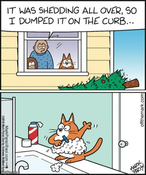 Image tagged in tree,shed,cats,shave