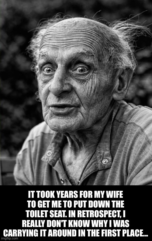 Toilet Seat Imgflip