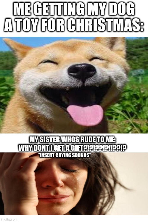 Image tagged in meme,memes,dog,doge,sister Imgflip