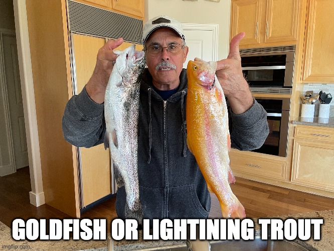 Lightining Trout & Rainbow Trout Imgflip
