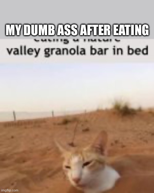 Granola bars Imgflip