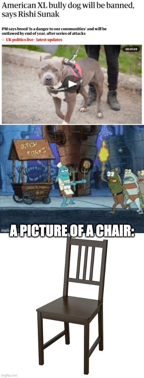 chair Imgflip