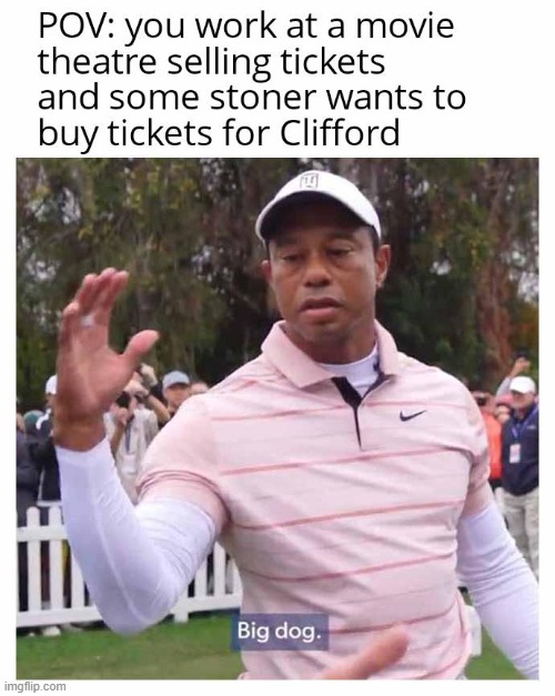 Image tagged in memes,funny,big dog small dog Imgflip