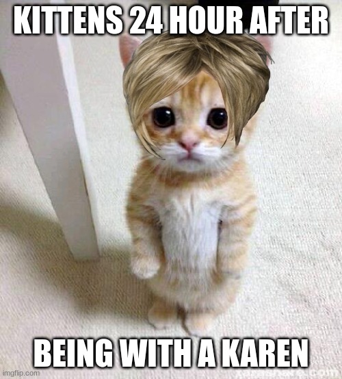 karen cat Imgflip