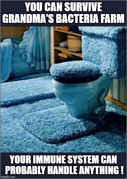 Natural Selection At Work ! Imgflip