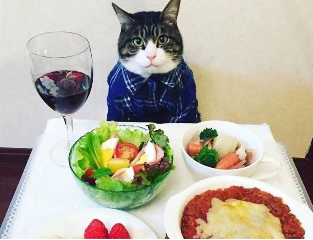 Valentine's Day Blank Template Imgflip