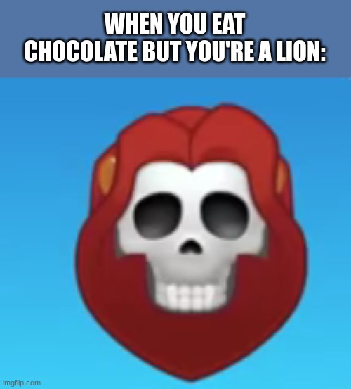 animals don't eat chocolate Imgflip