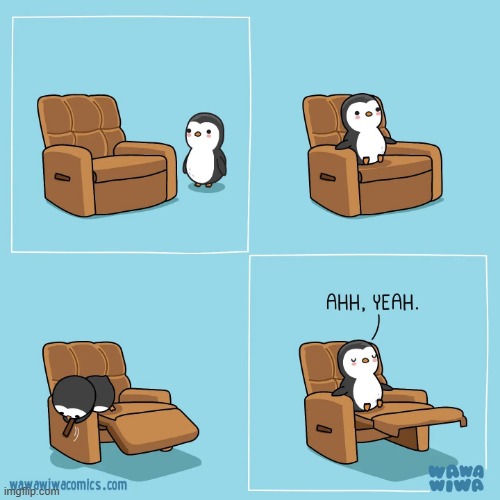 Image tagged in penguin,chair,armchair,recliner Imgflip