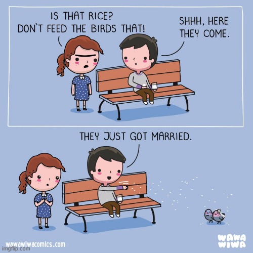 Image tagged in birds,rice,wedding Imgflip