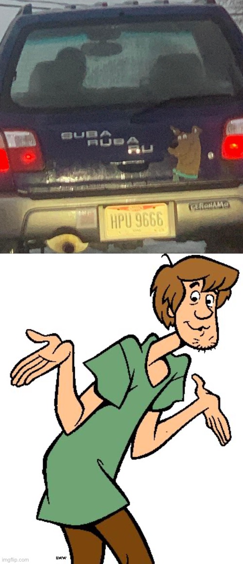 Image tagged in shaggy from scooby doo,subaru,scooby doo Imgflip