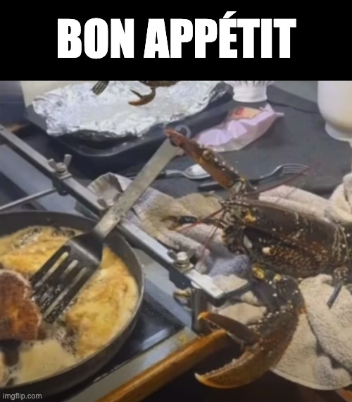 Bon Appétit Imgflip