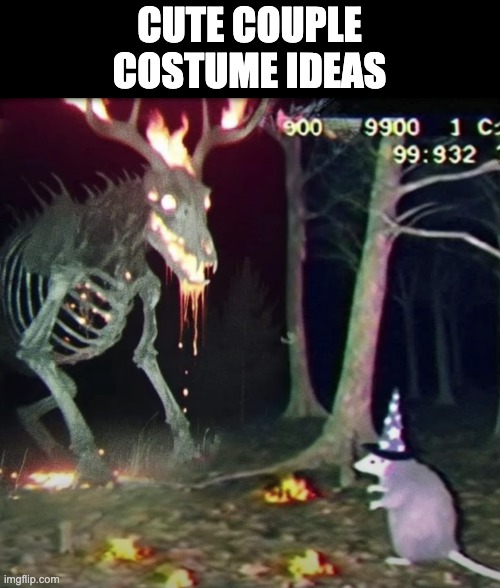 Cute couple costume ideas Imgflip