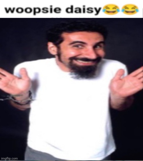 Serj tankian whoopsie daisy Imgflip