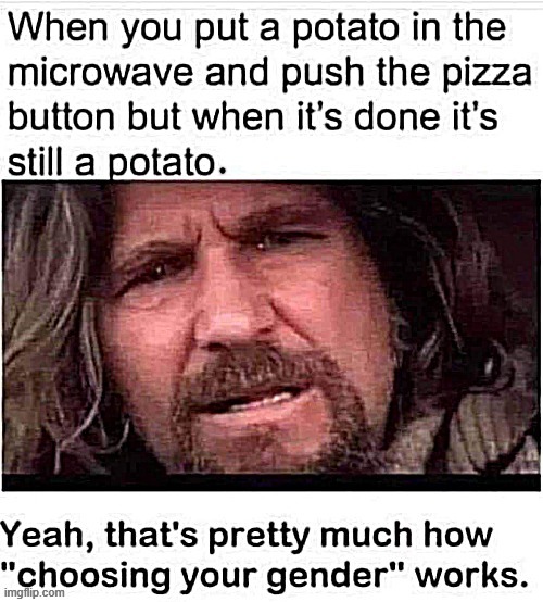 MIcrowave cooking Imgflip