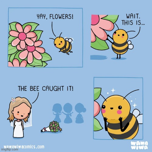 Image tagged in bee,flowers,bouquet,toss,wedding Imgflip